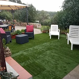 Bandi Pensión